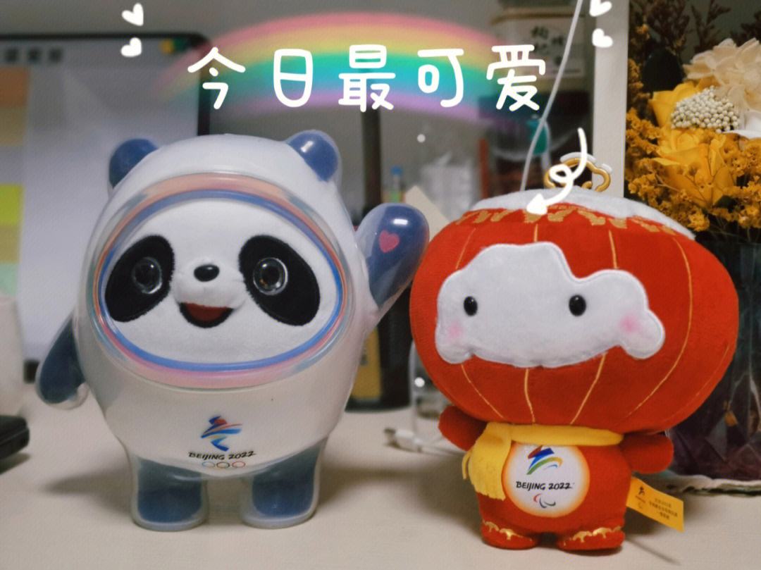 张子宇：人生第一次参加成年组洲际大赛，努力汲取养分的简单介绍